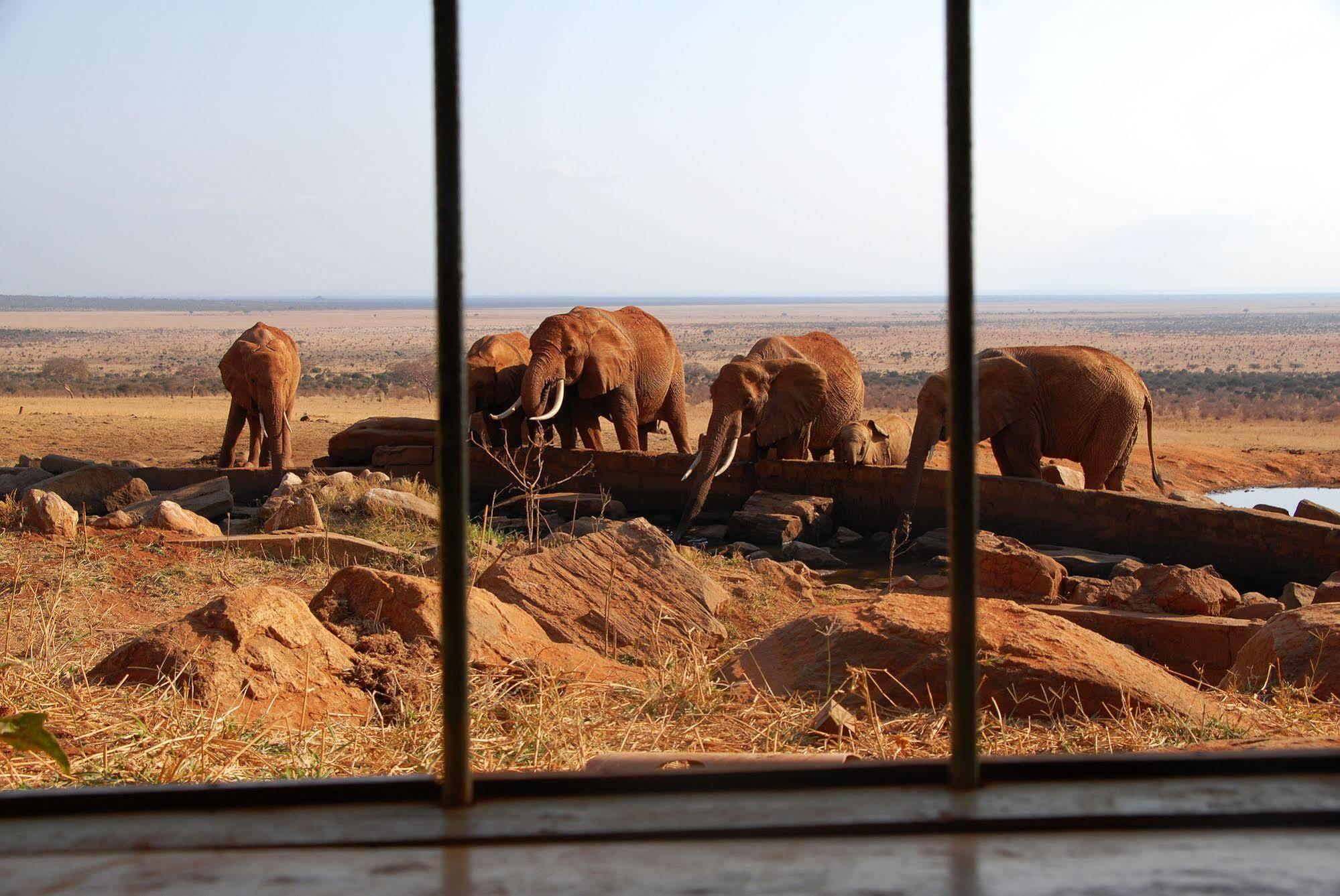 Voi Safari Lodge Esterno foto